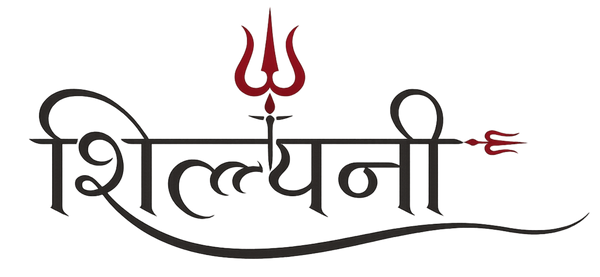 Shilpani